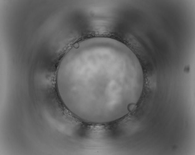 X0000114150419200911051447