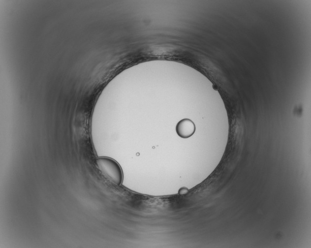 X0000114150421200911051446
