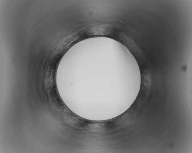 X0000114150422200911051446