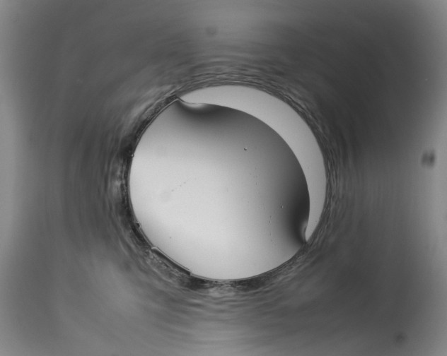 X0000114150423200911051446