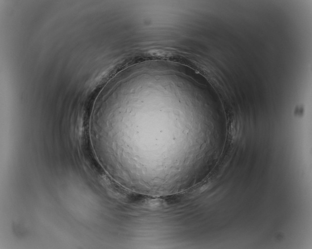 X0000114150424200911051446