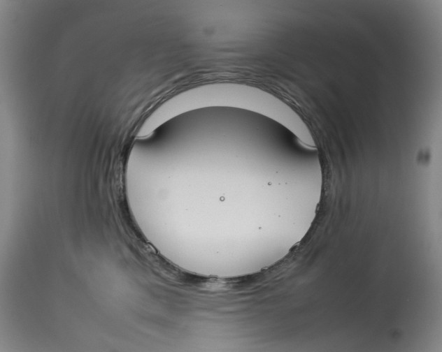 X0000114150425200911051446