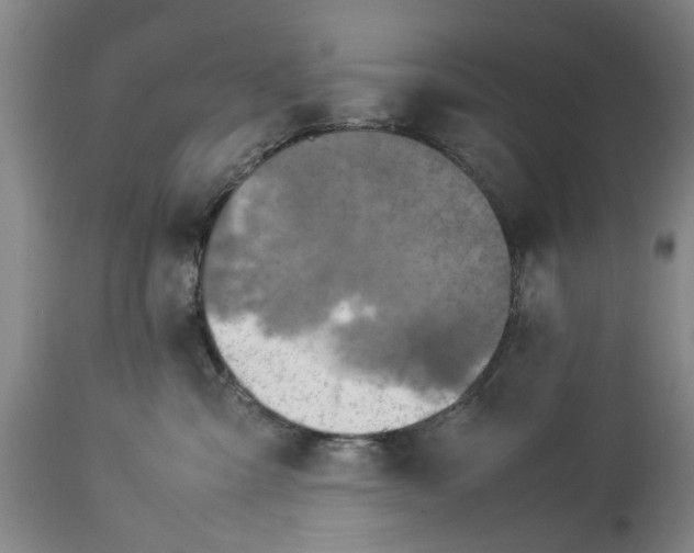 X0000114150427200911051446