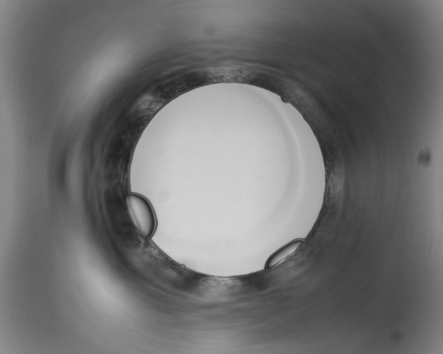 X0000114150429200911051446