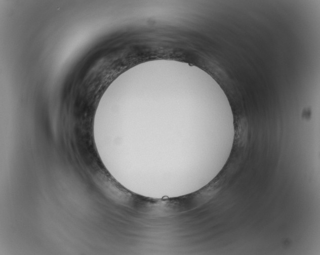 X0000114150430200911051446