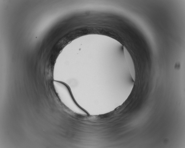 X0000114150431200911051446