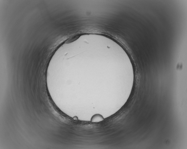 X0000114150433200911051446