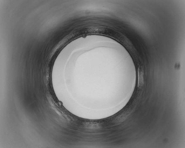 X0000114150435200911051446