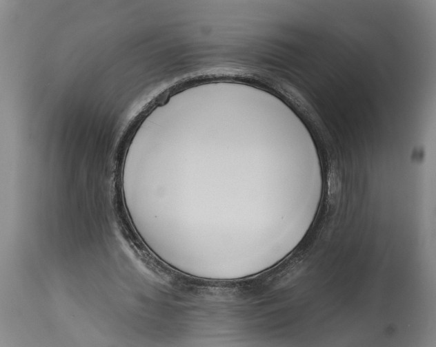 X0000114150436200911051446