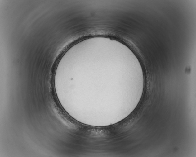 X0000114150439200911051446
