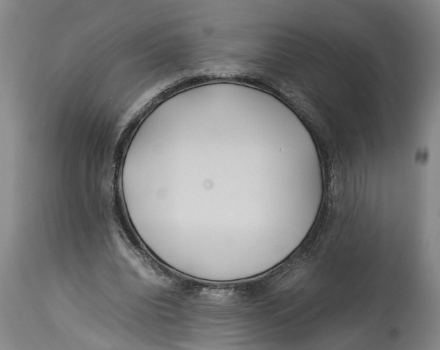 X0000114150440200911051446