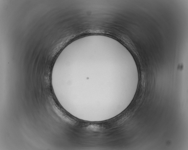 X0000114150441200911051446