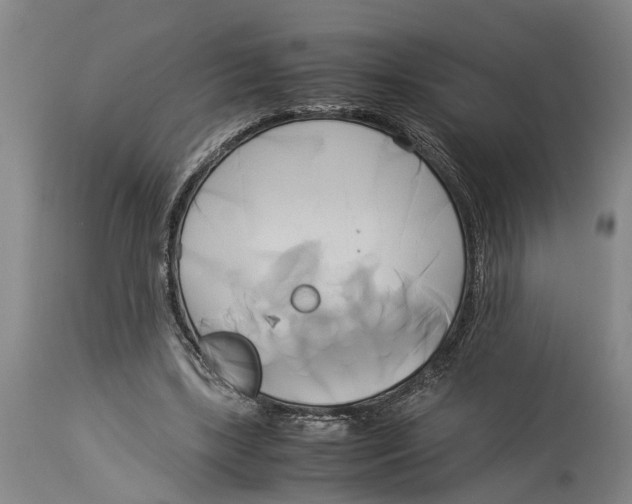 X0000114150443200911051446