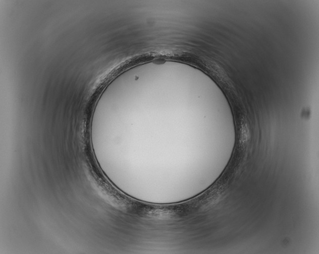 X0000114150444200911051446