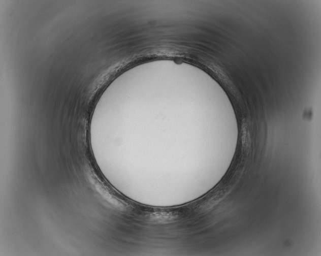 X0000114150445200911051446