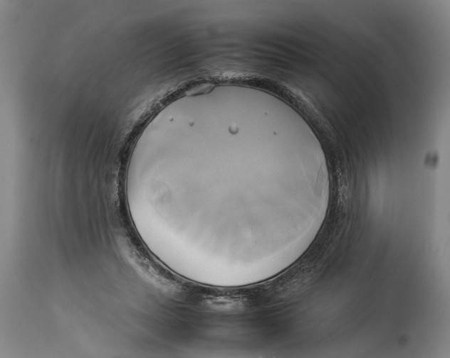 X0000114150447200911051446
