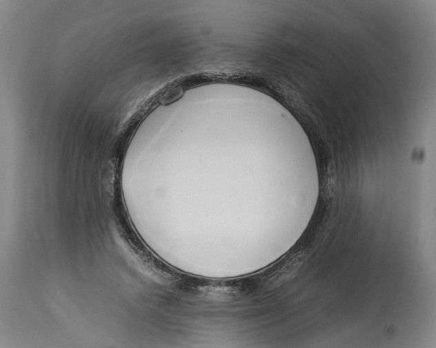 X0000114150448200911051446