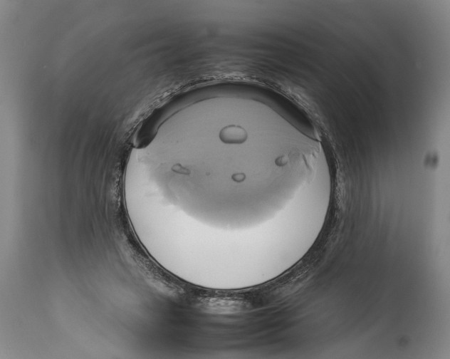 X0000114150449200911051446