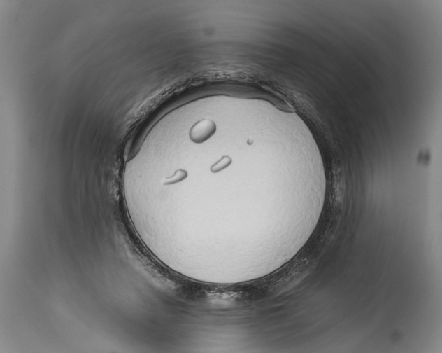 X0000114150450200911051446