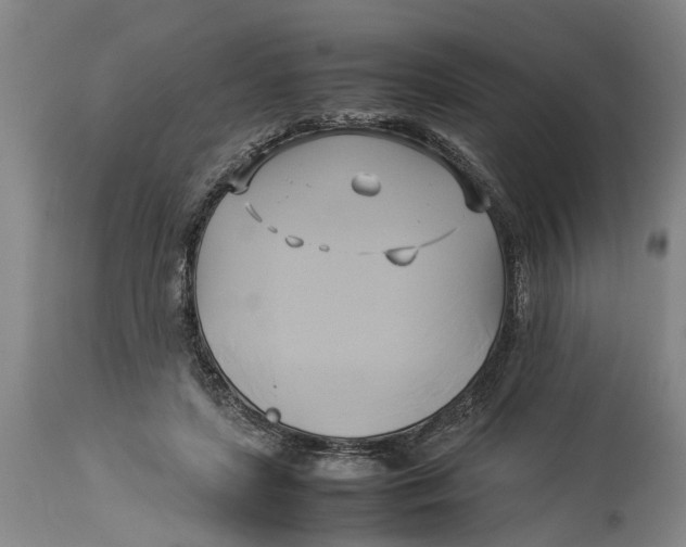 X0000114150451200911051446