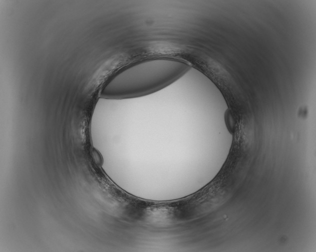 X0000114150452200911051446