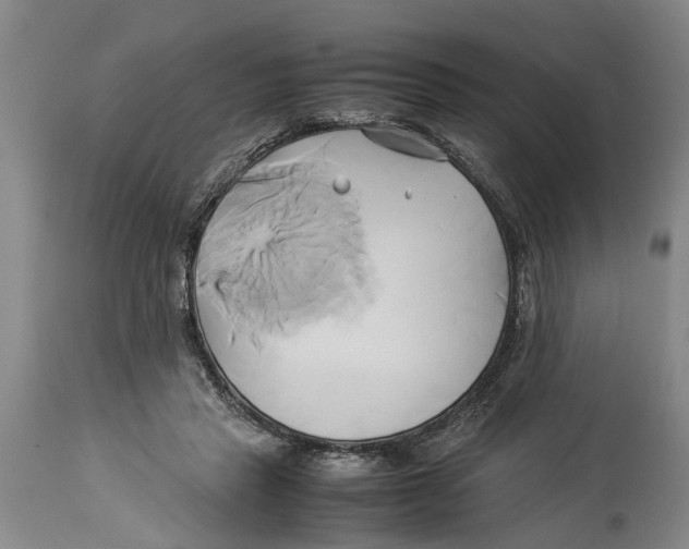 X0000114150453200911051446