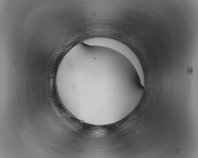 X0000114150456200911051446