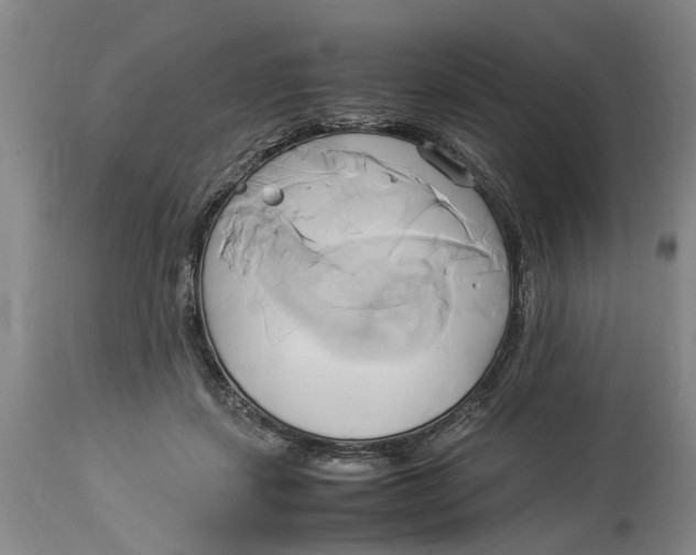 X0000114150459200911051446