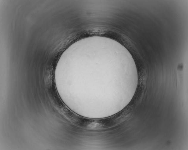 X0000114150460200911051446