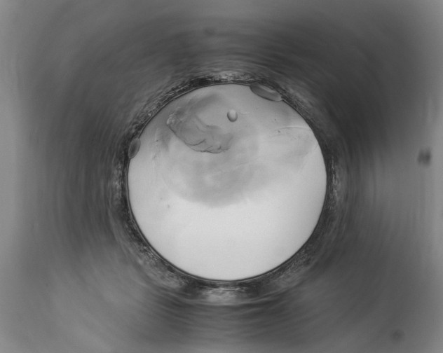 X0000114150461200911051446