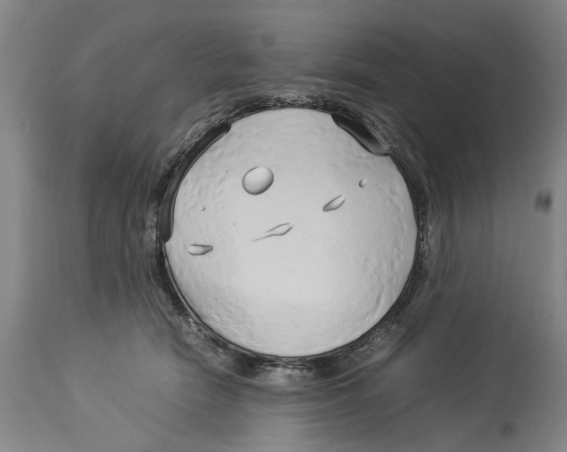 X0000114150466200911051446