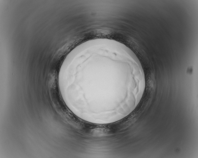 X0000114150468200911051446