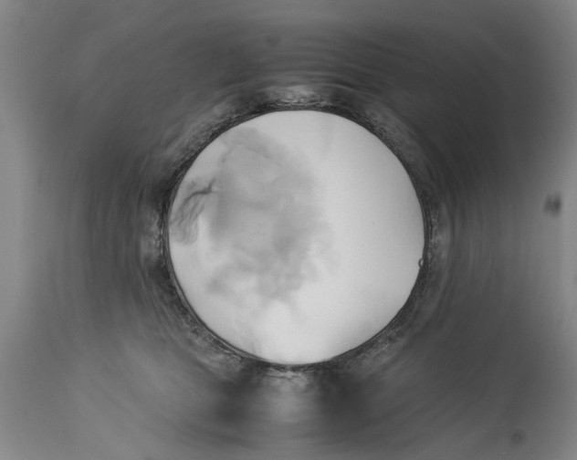 X0000114150469200911051446