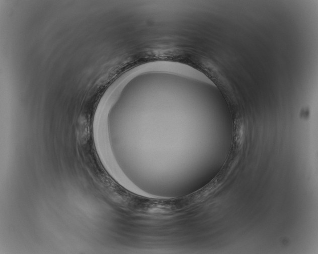 X0000114150471200911051446