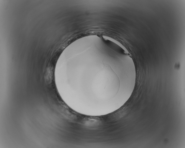 X0000114150475200911051446