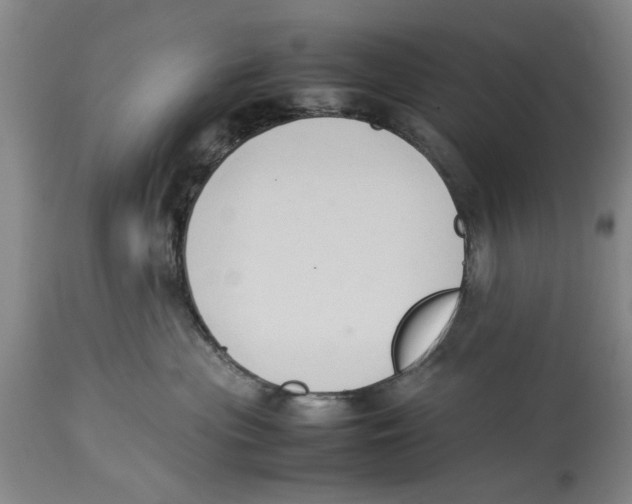 X0000114150477200911051446