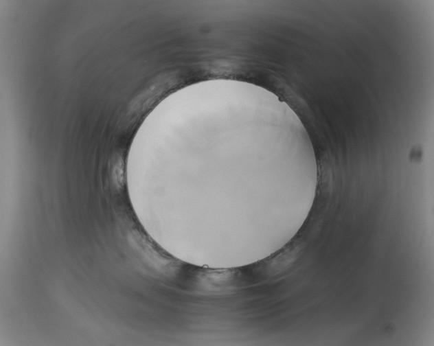 X0000114150479200911051446