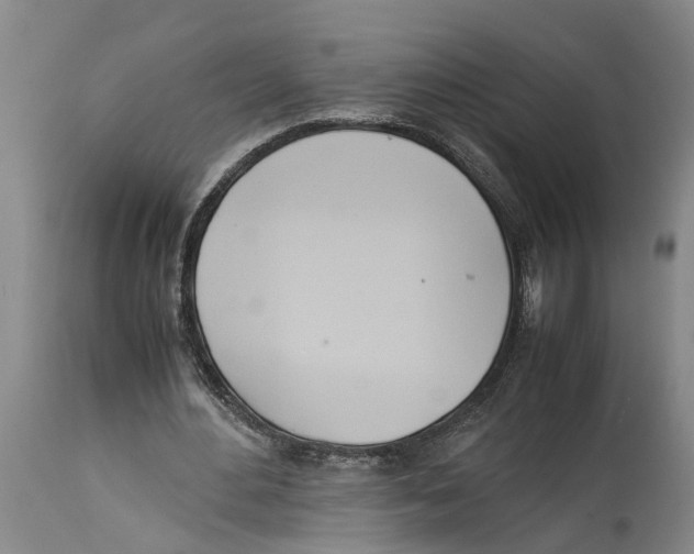X0000114150484200911051446