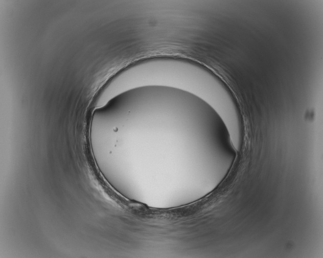 X0000114150485200911051446
