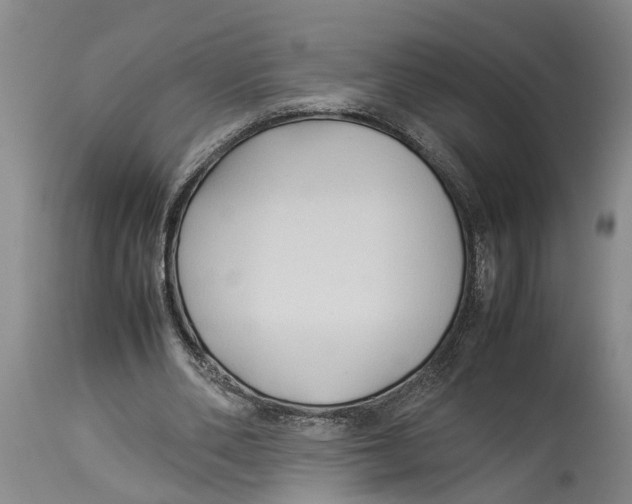 X0000114150486200911051446
