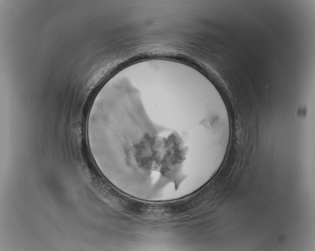 X0000114150487200911051446