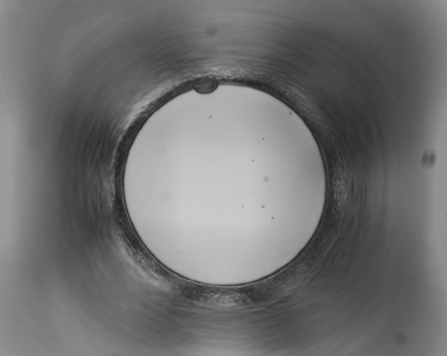 X0000114150488200911051446