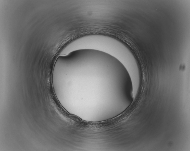 X0000114150489200911051446