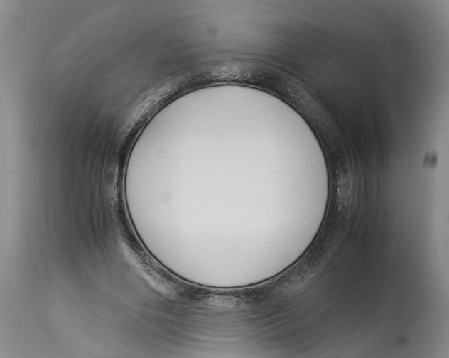 X0000114150490200911051446