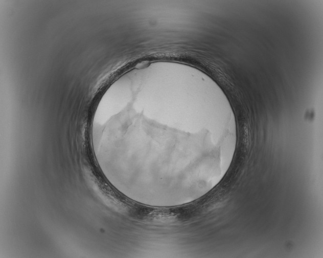 X0000114150491200911051446