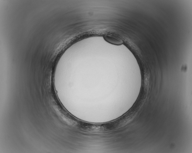 X0000114150493200911051445