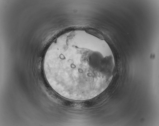 X0000114150495200911051445