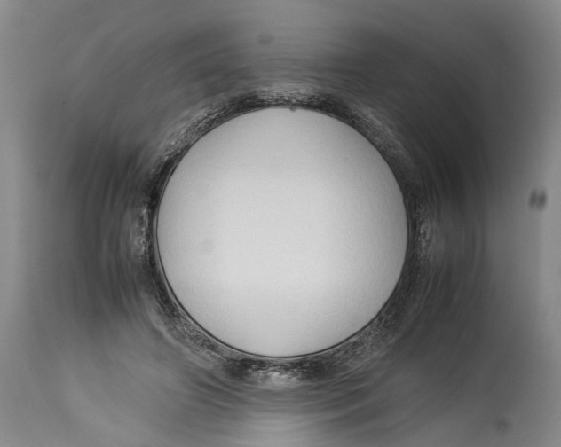 X0000114150498200911051445
