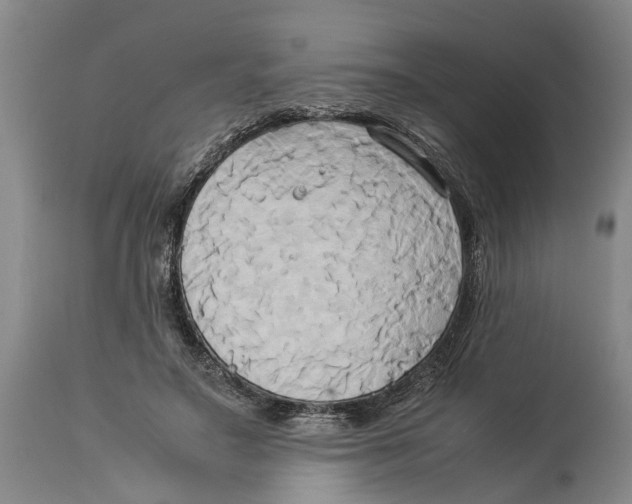 X0000114150499200911051445