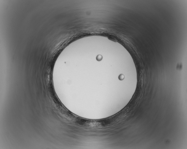 X0000114150501200911051445